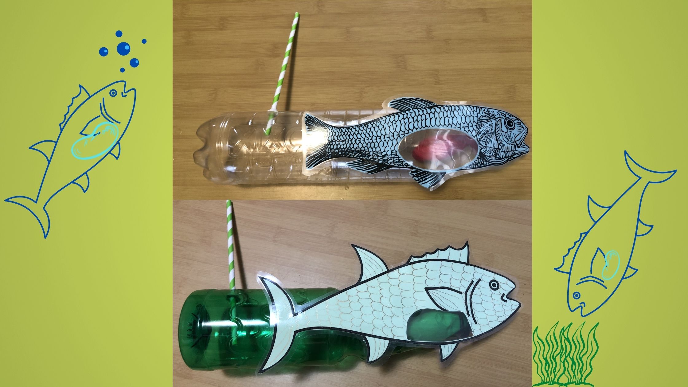 kettő kész palack-hal, mellette hal rajzok fel-és le úszó halakkal
