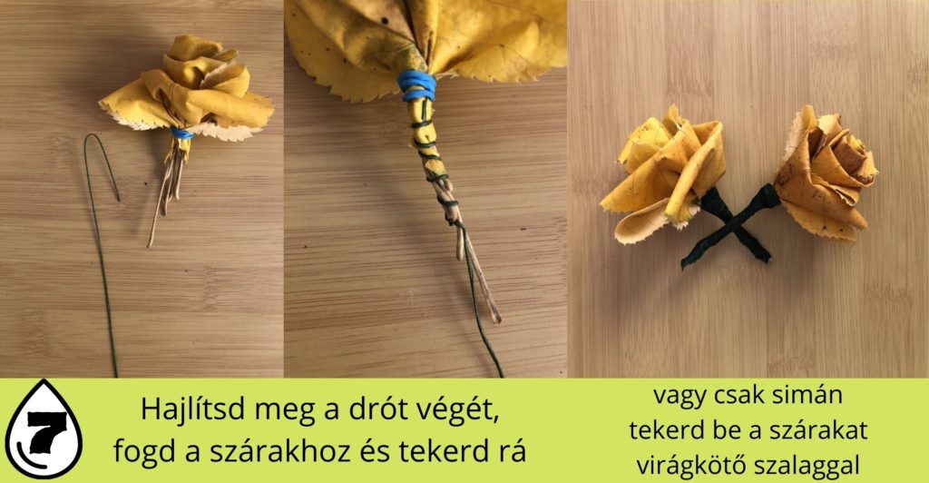 sárga hárslevélből rózsa hajtogatása, negyedik lépés, drótozd meg a szárakat és tekerd körbe szárkötözővel