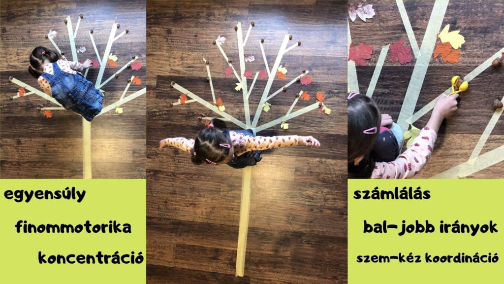 festőszalagból földre ragasztott fáról makkszedés