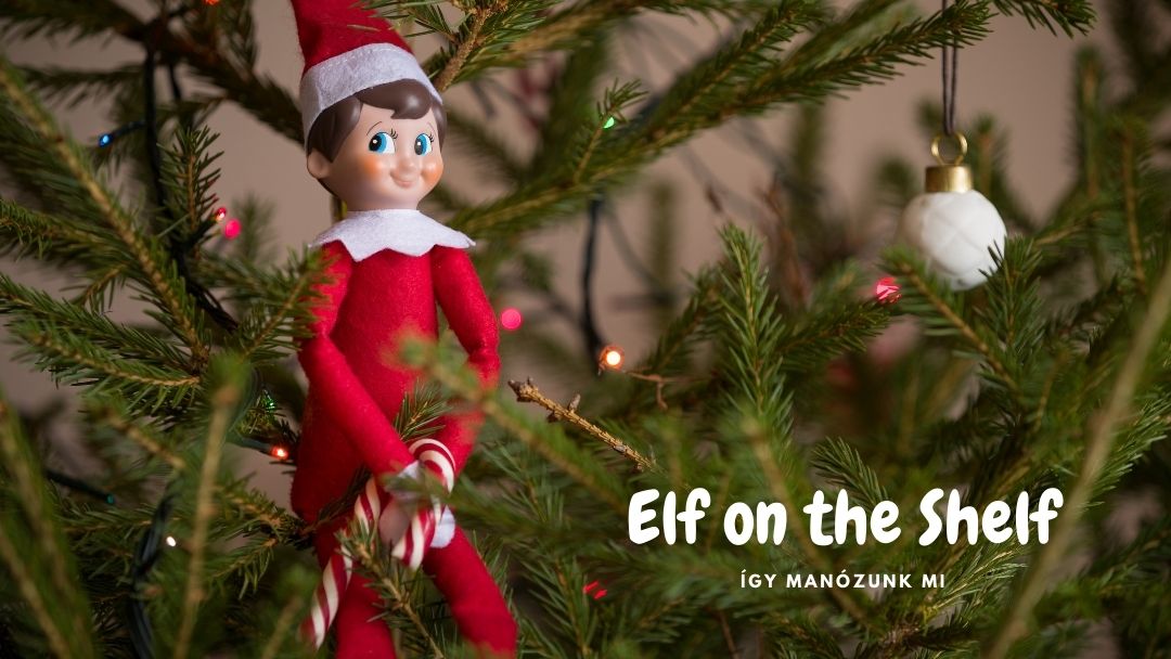 Elf on the Shelf piros ruhás játék karácsonyi manó cukorpálcával a kezében ül a karácsonyfa ágai közt