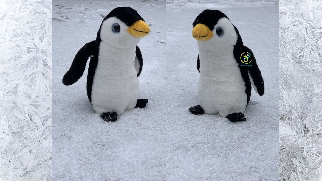 2 plüss pingvin álla. hóban