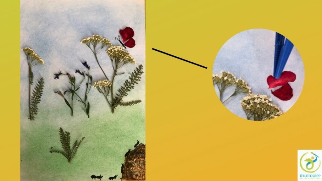 préselt virágokból készült kép, ami egy mezőt ábrázol. Külön körben kiemelve a virágszirom-pillangó csipeszes felhelyezése