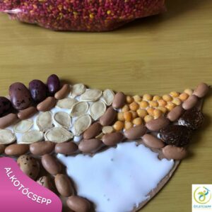 levél formán több bab, mag felragasztva, egy terület teljesen beragasztózva