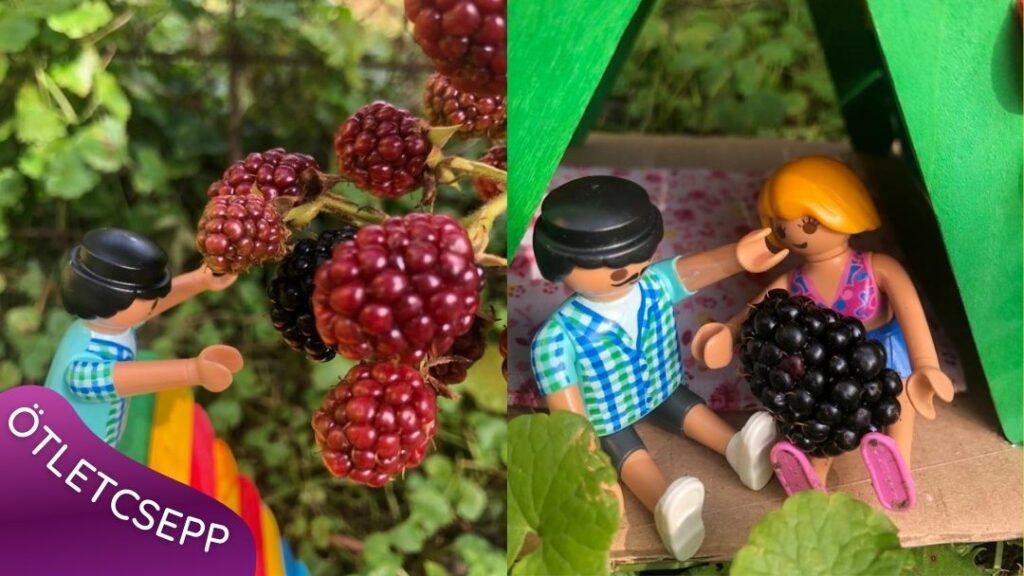 játéksátor tetejéről playmobil figura szedret szed, mellette egy sátorban ülve 2 playmobil figura szedret eszik